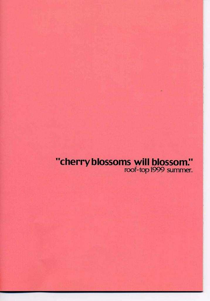 cherry blossoms will blossom 19ページ