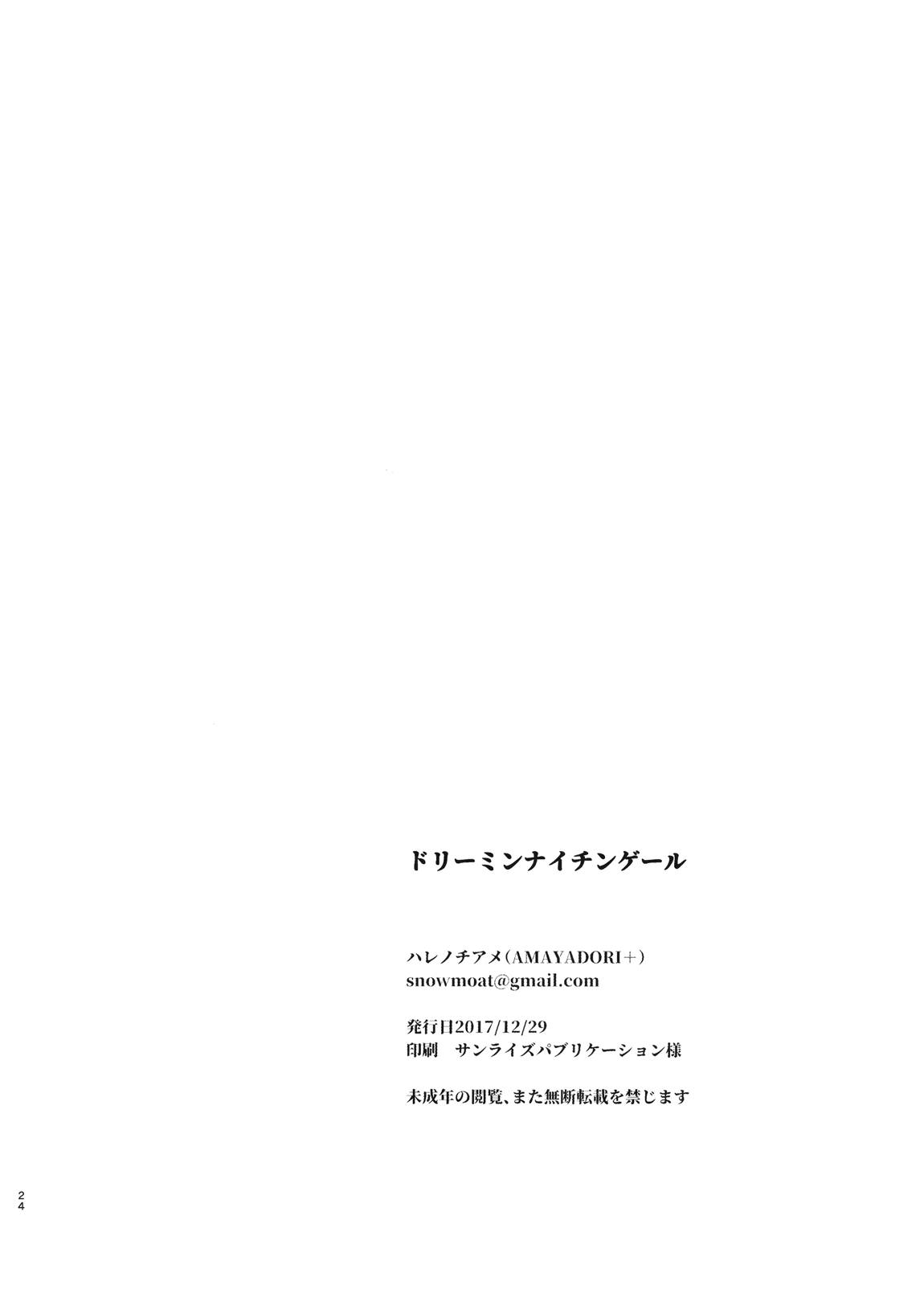 ドリーミンナイチンゲール 22ページ