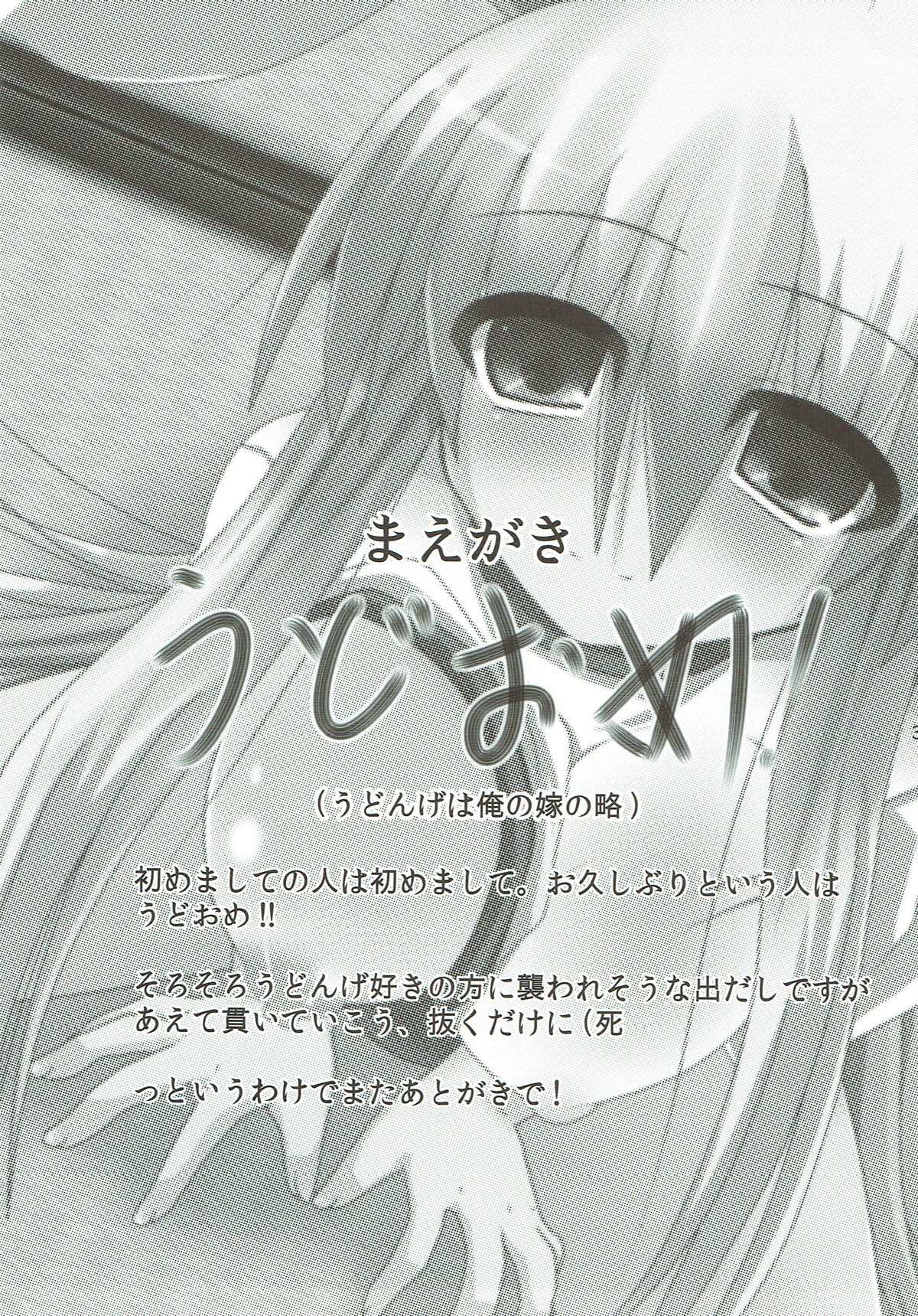 うげコスH２ 2ページ