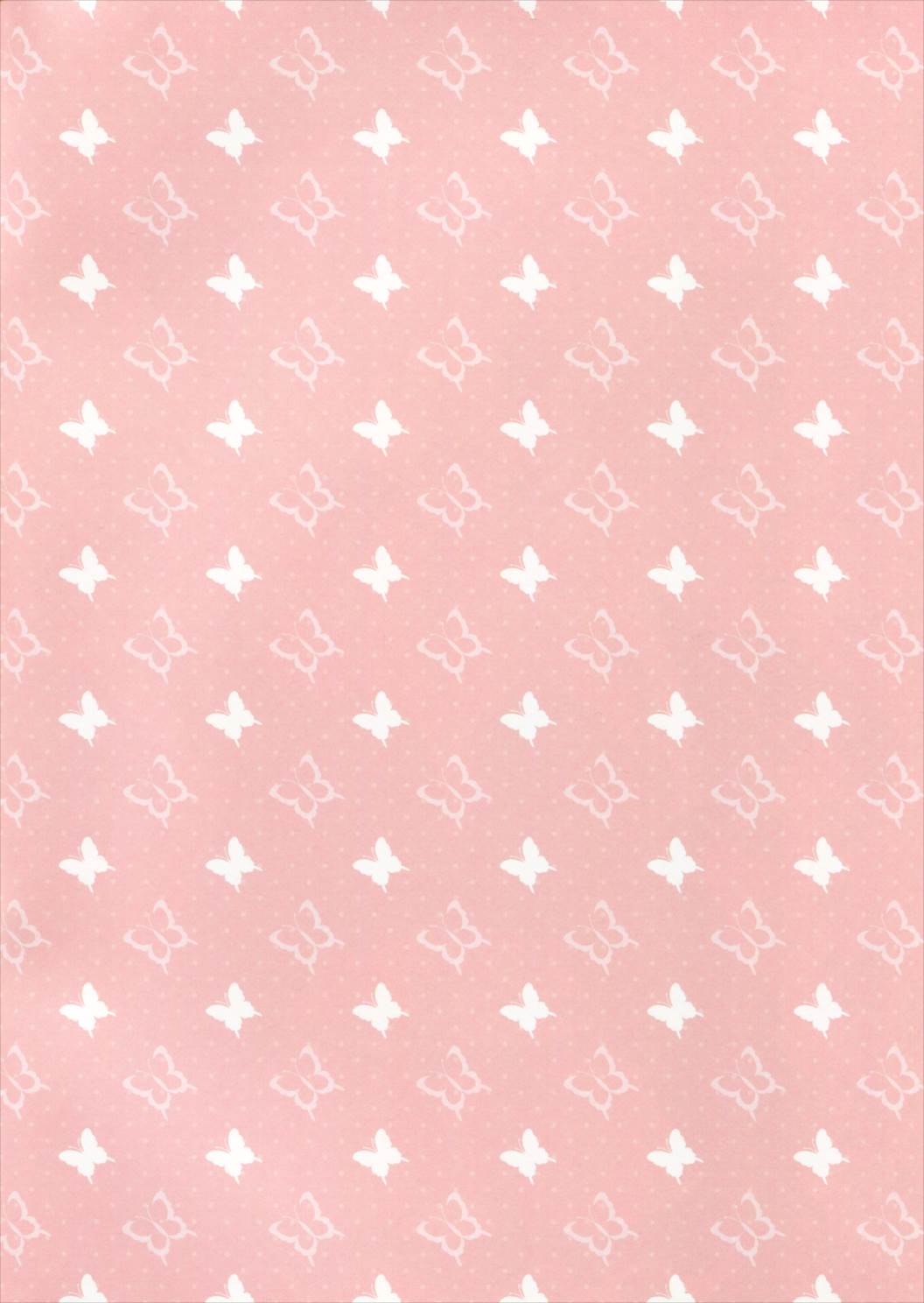 こづくり幻想郷 2ページ