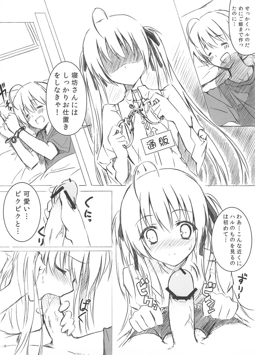 ソラのおもちゃ 5ページ