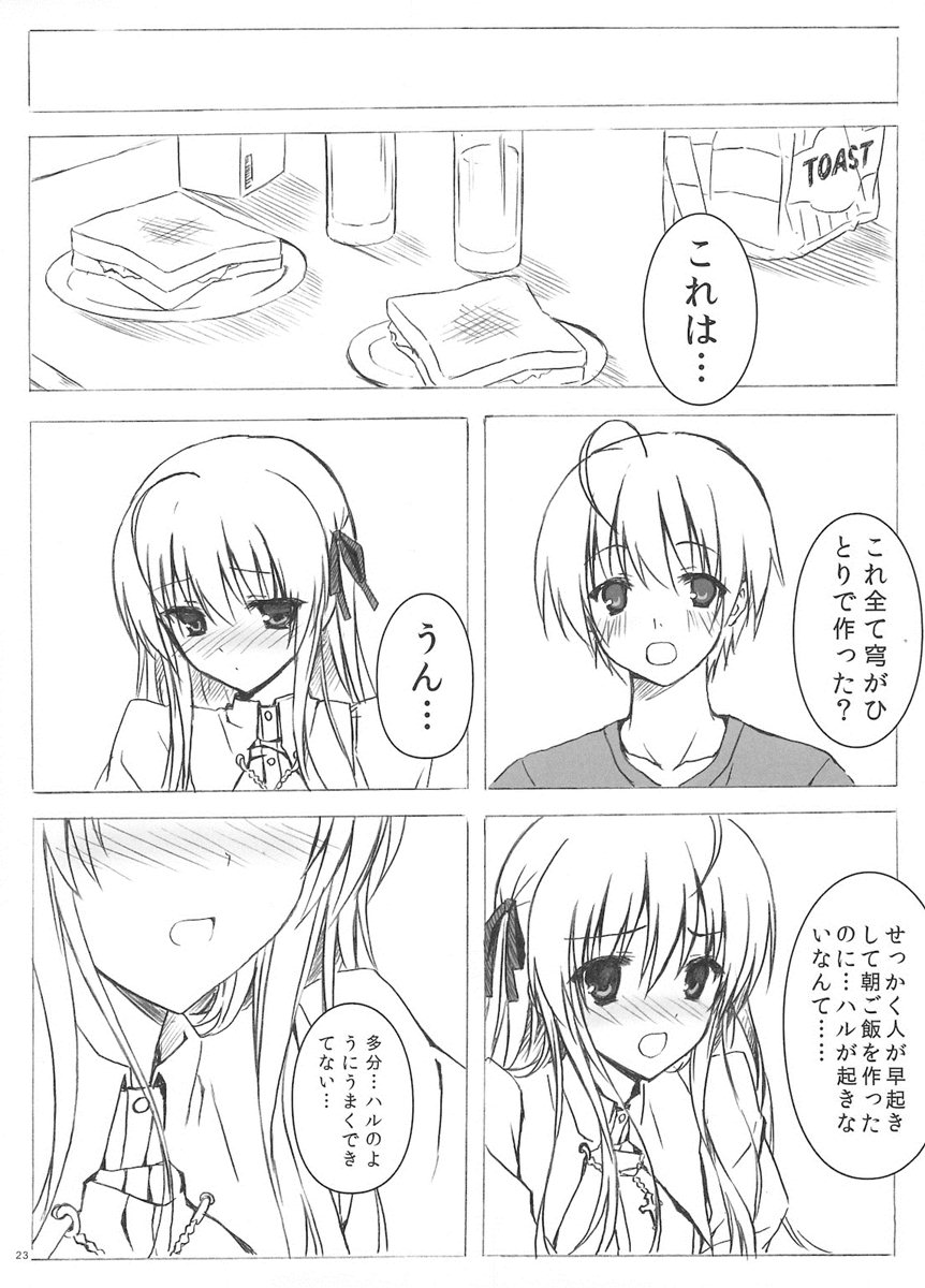 ソラのおもちゃ 23ページ
