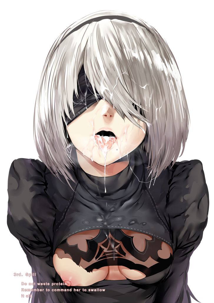 Maintenance 2B(ヨルハ2号B型) – 101 12ページ