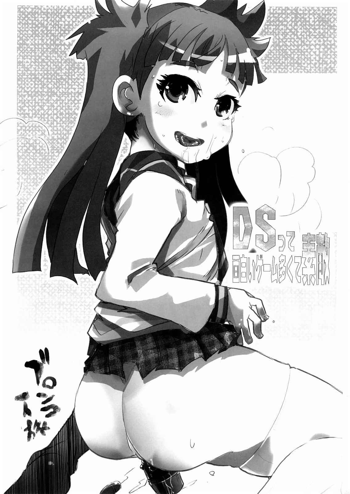 DSって面白いゲーム多くて素敵 2ページ