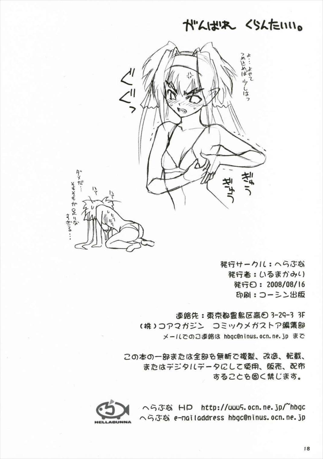 大小 17ページ