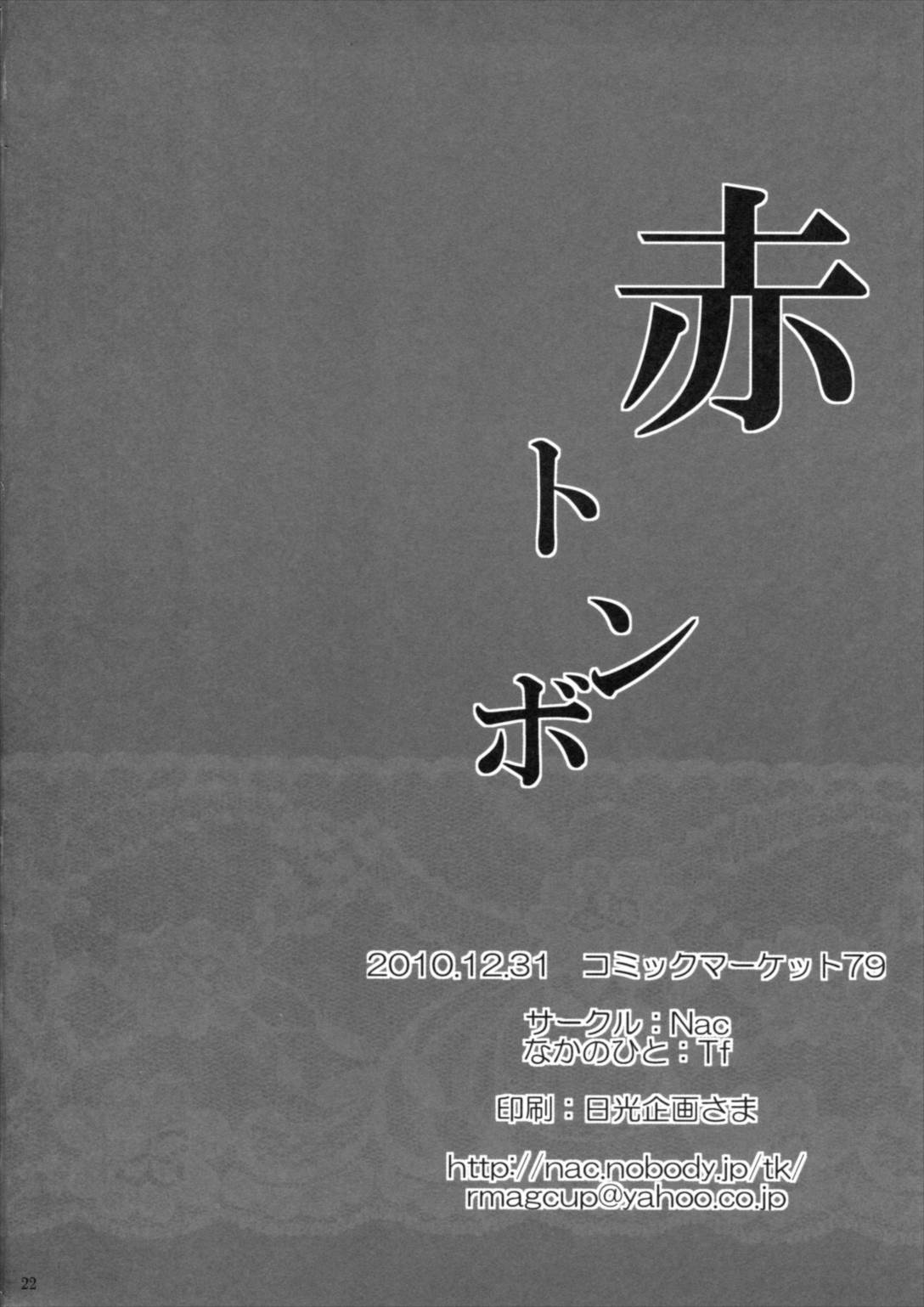 赤トンボ 21ページ