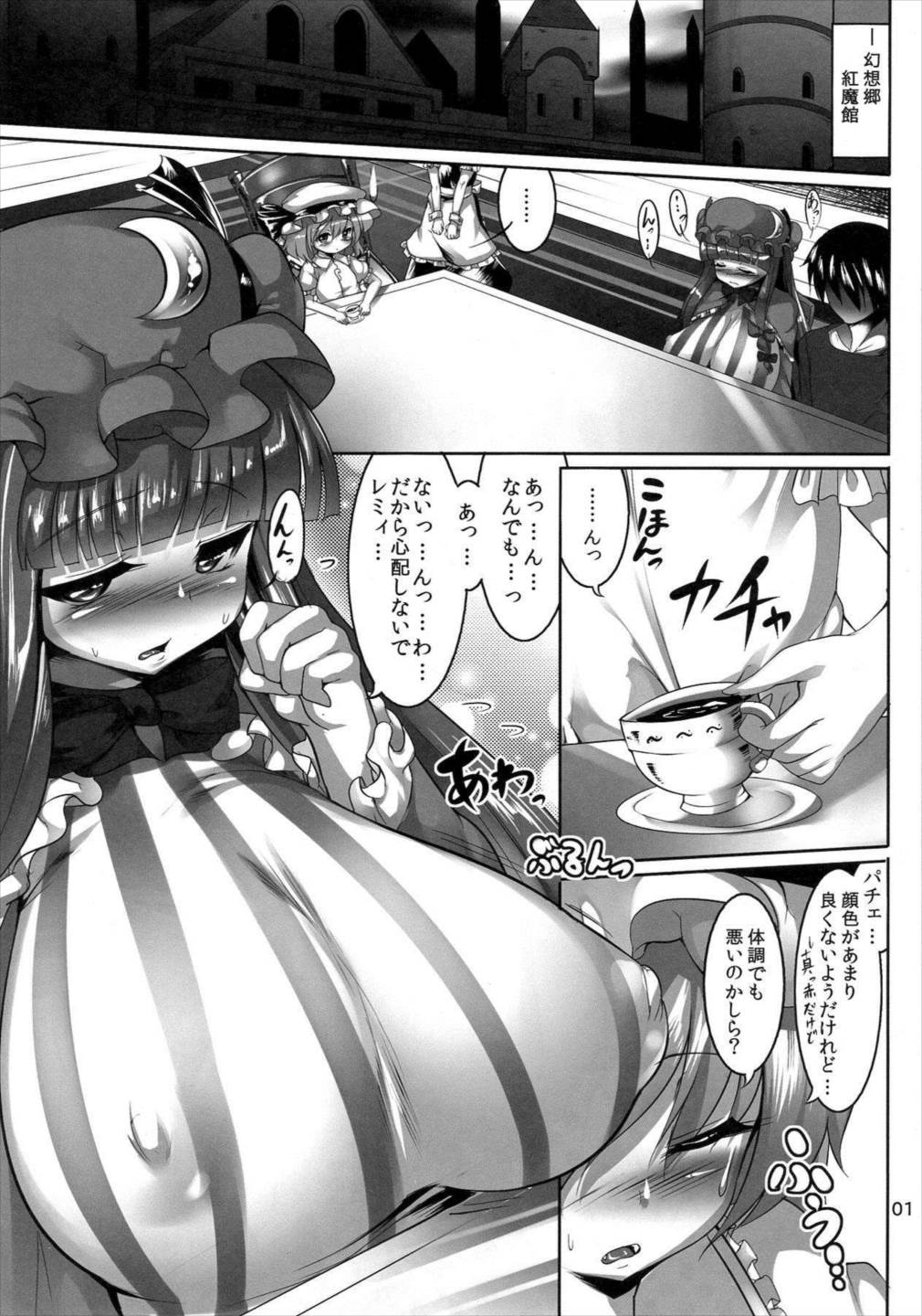 ぱちゅりーをムニムニする本 2ページ