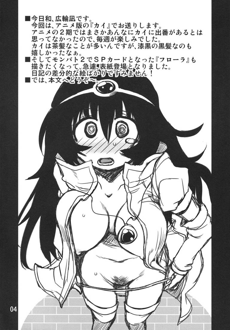 RGB-16 3ページ