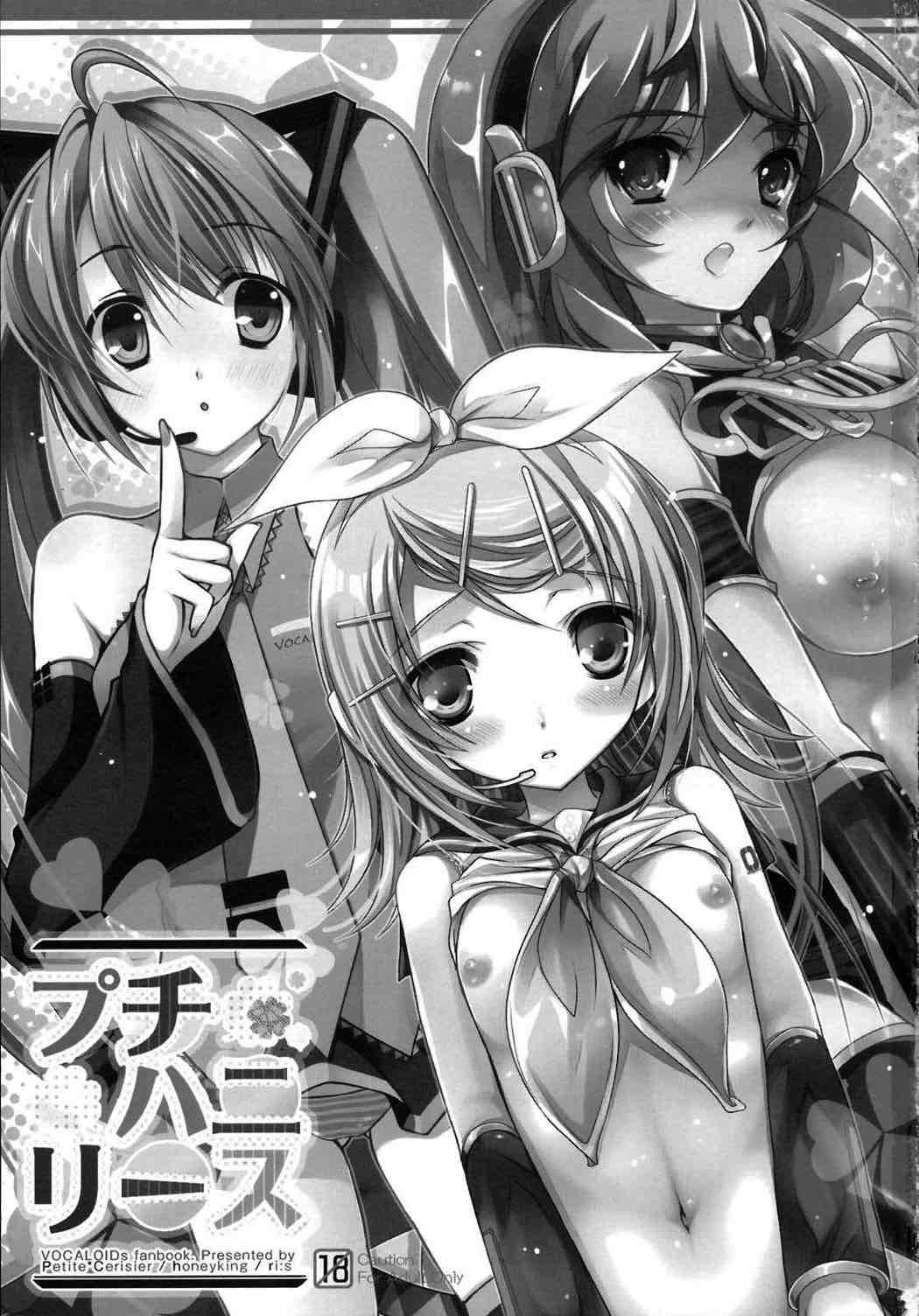 プチハニリース 2ページ