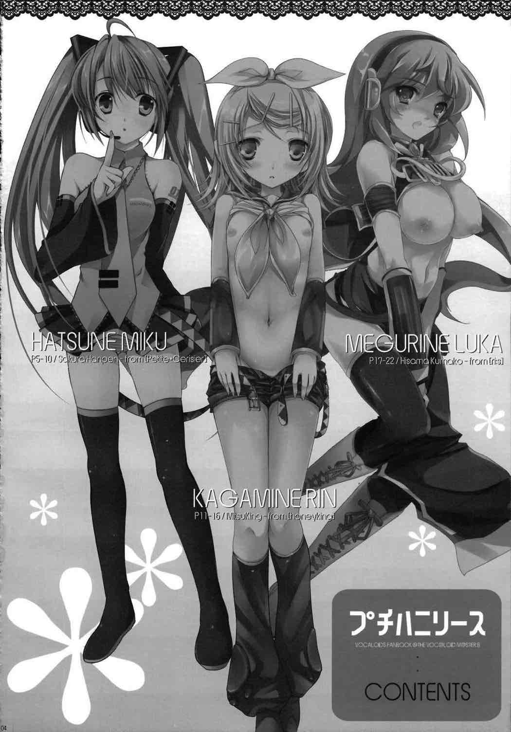 プチハニリース 3ページ
