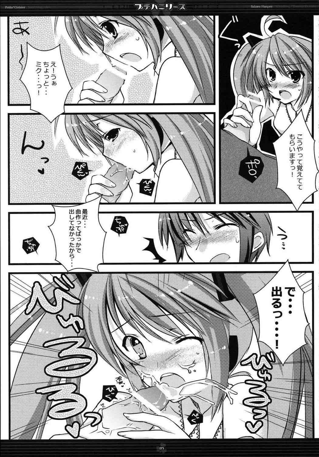 プチハニリース 6ページ