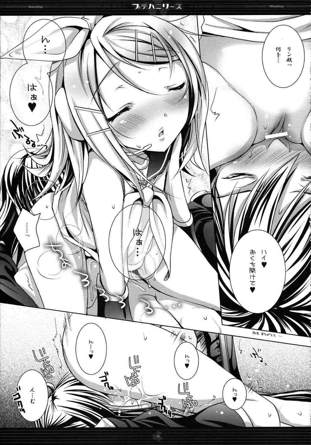 プチハニリース 12ページ