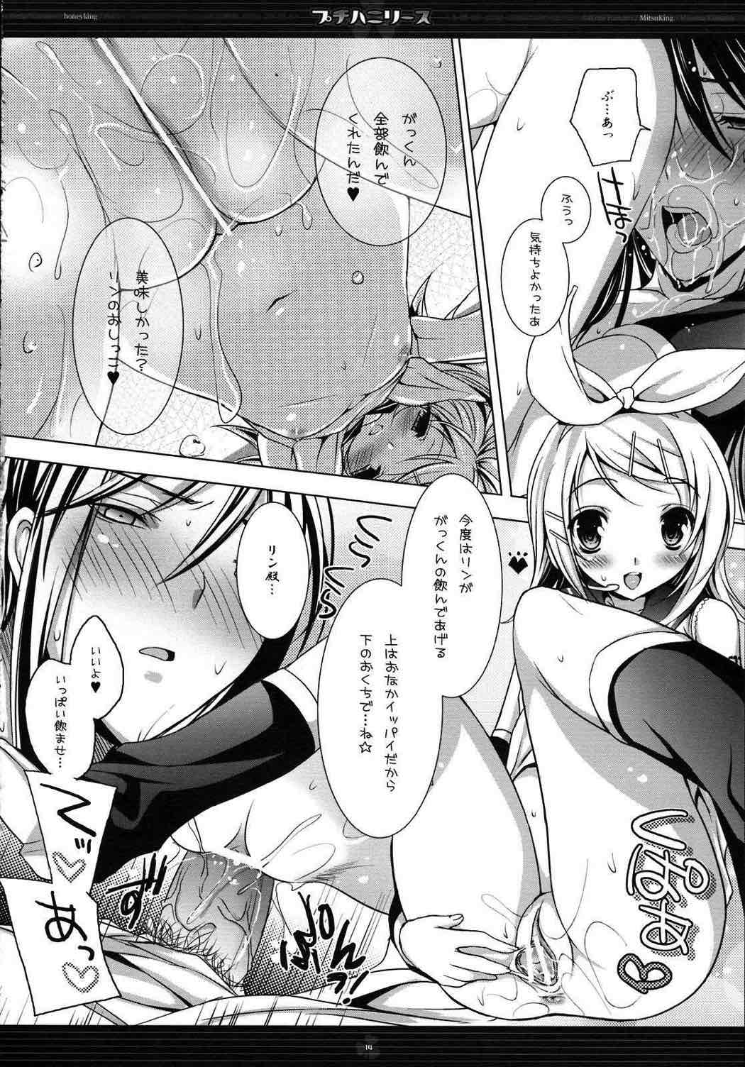 プチハニリース 13ページ