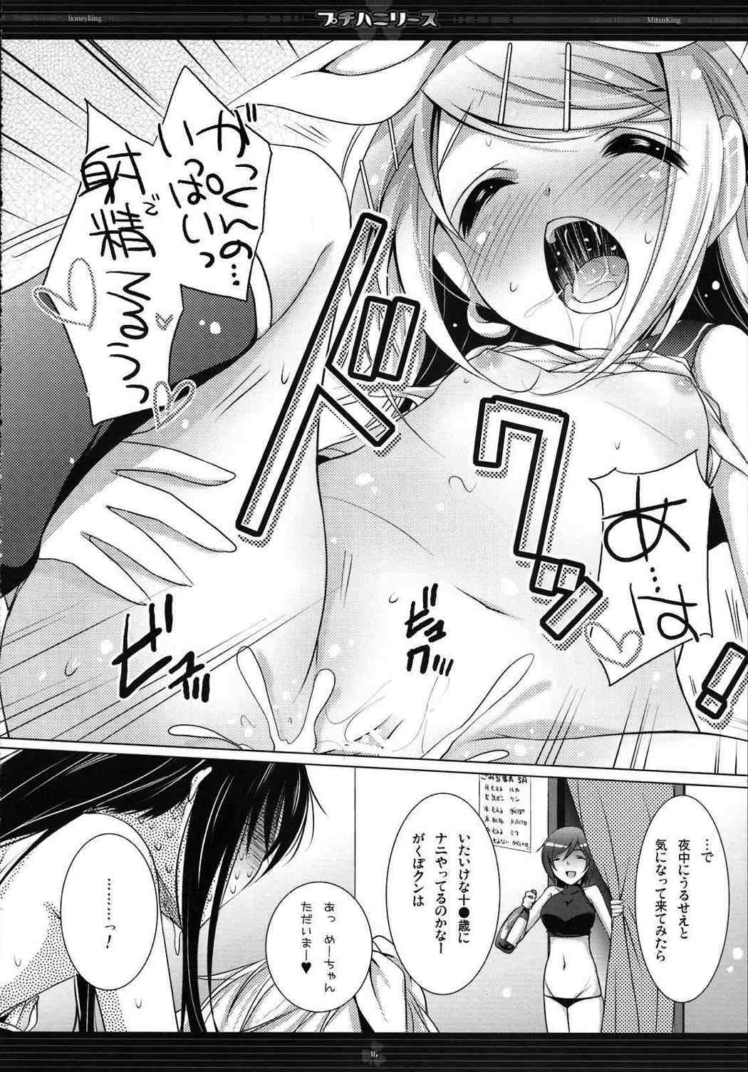 プチハニリース 15ページ