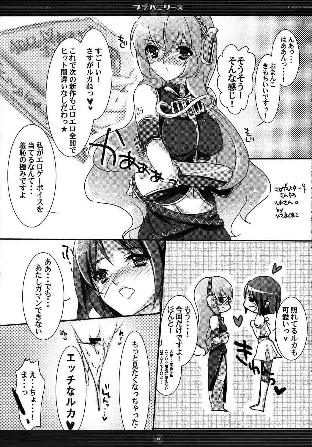 プチハニリース 16ページ