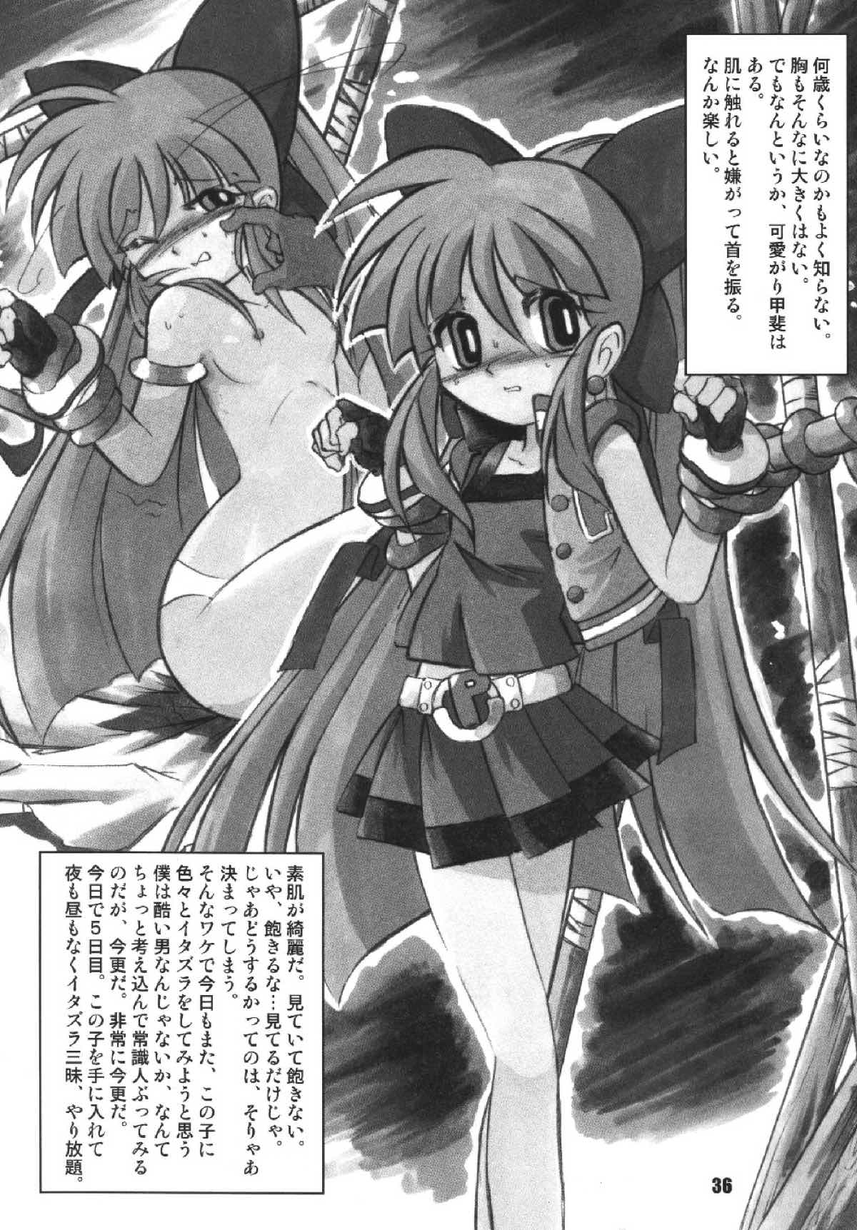 パワパフ魂Z その２ 35ページ