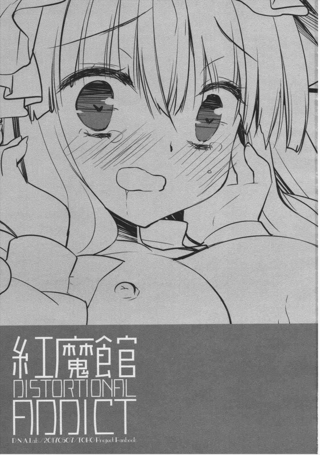 紅魔館DISTORTIONAL ADDICT 2ページ