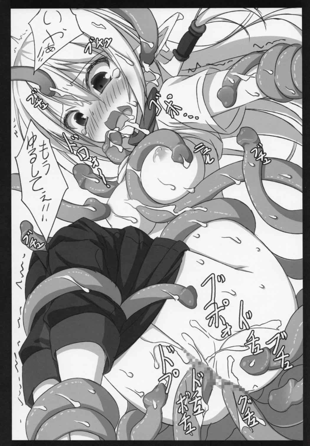 Tor 13ページ