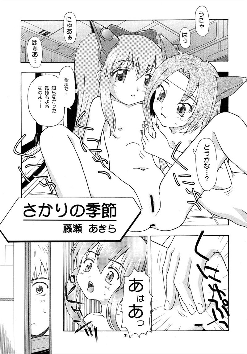 カルナス秘日誌 20ページ