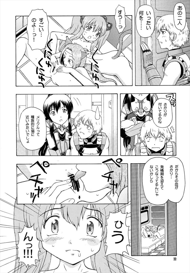 カルナス秘日誌 21ページ