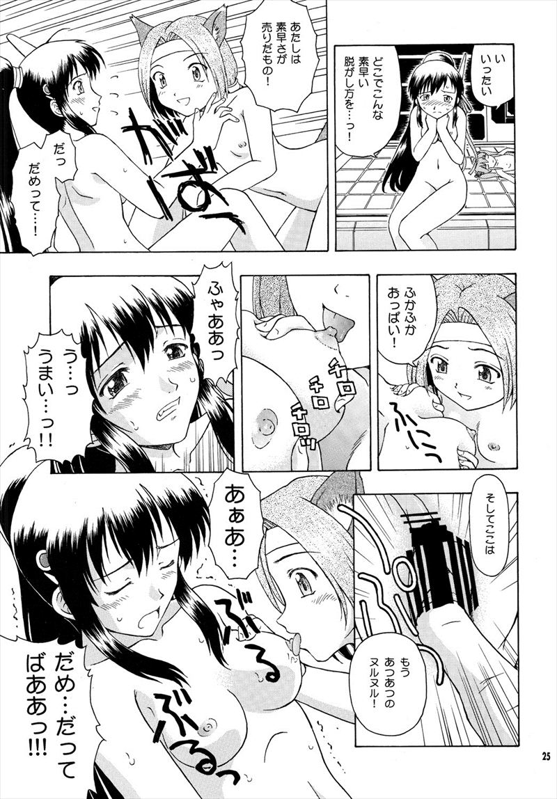 カルナス秘日誌 24ページ