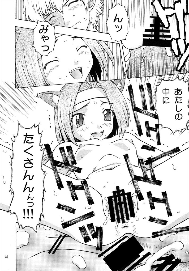 カルナス秘日誌 29ページ