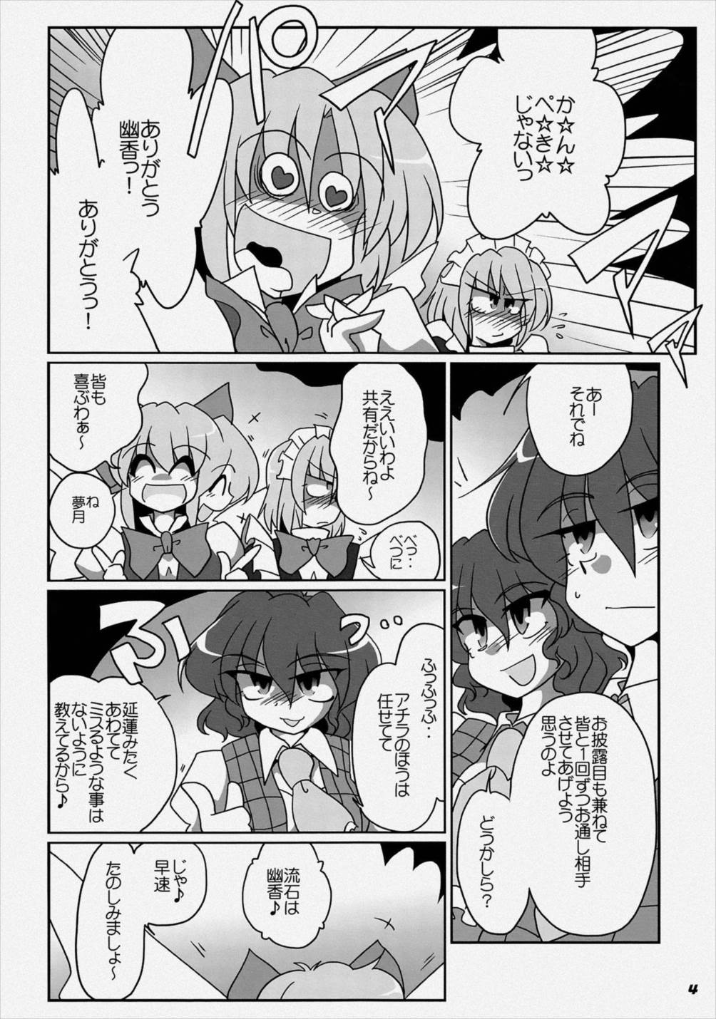 TOHO N+ LL&MSA Type-R 5ページ