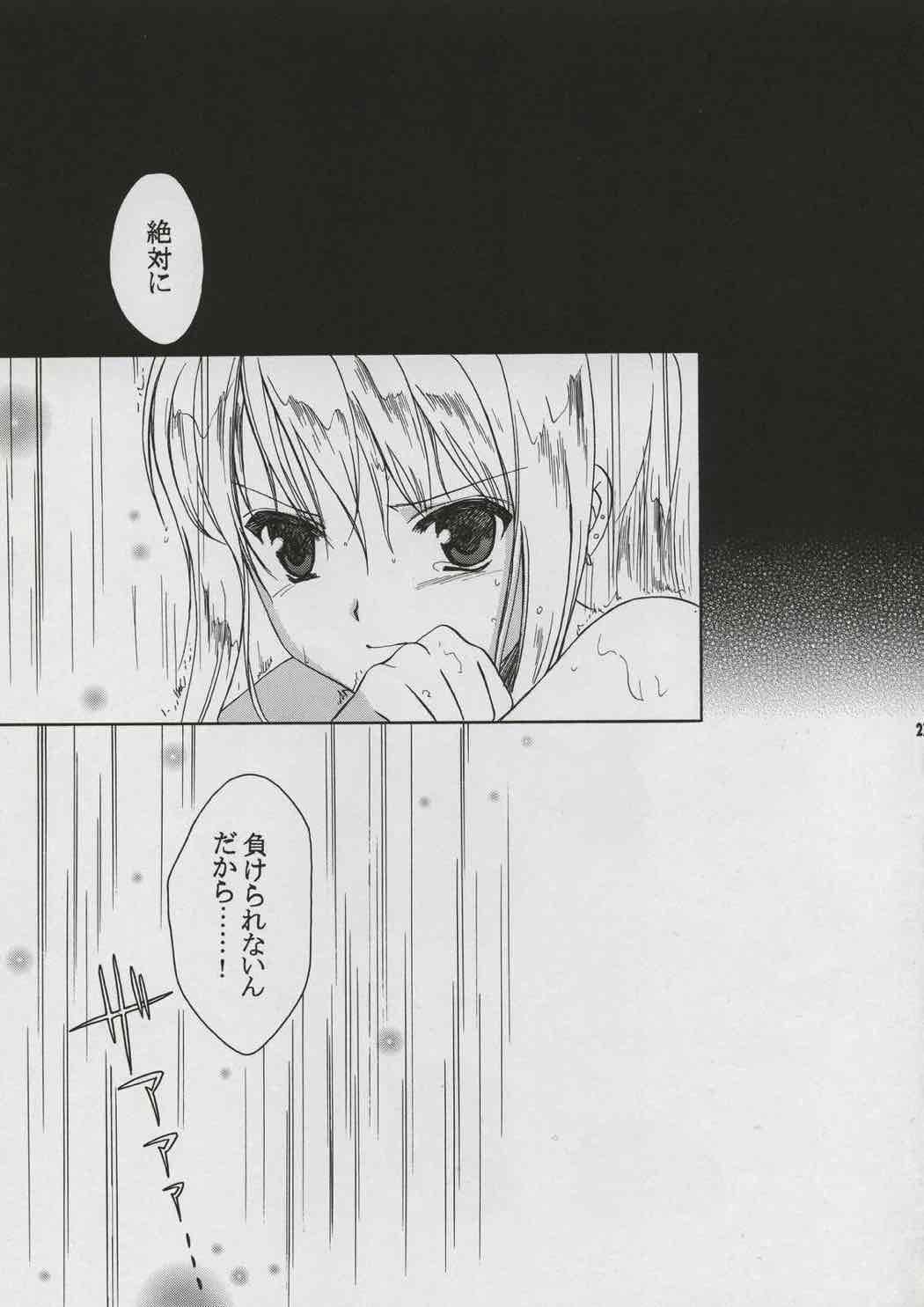 ランダムに咲く野辺の花に 26ページ