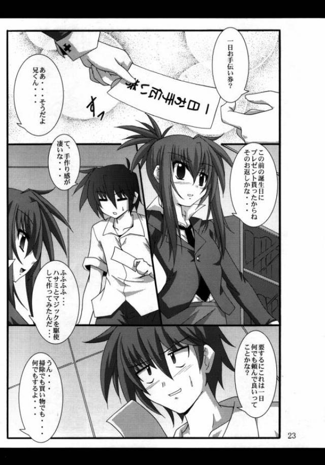 ヴィータの本 4 20ページ