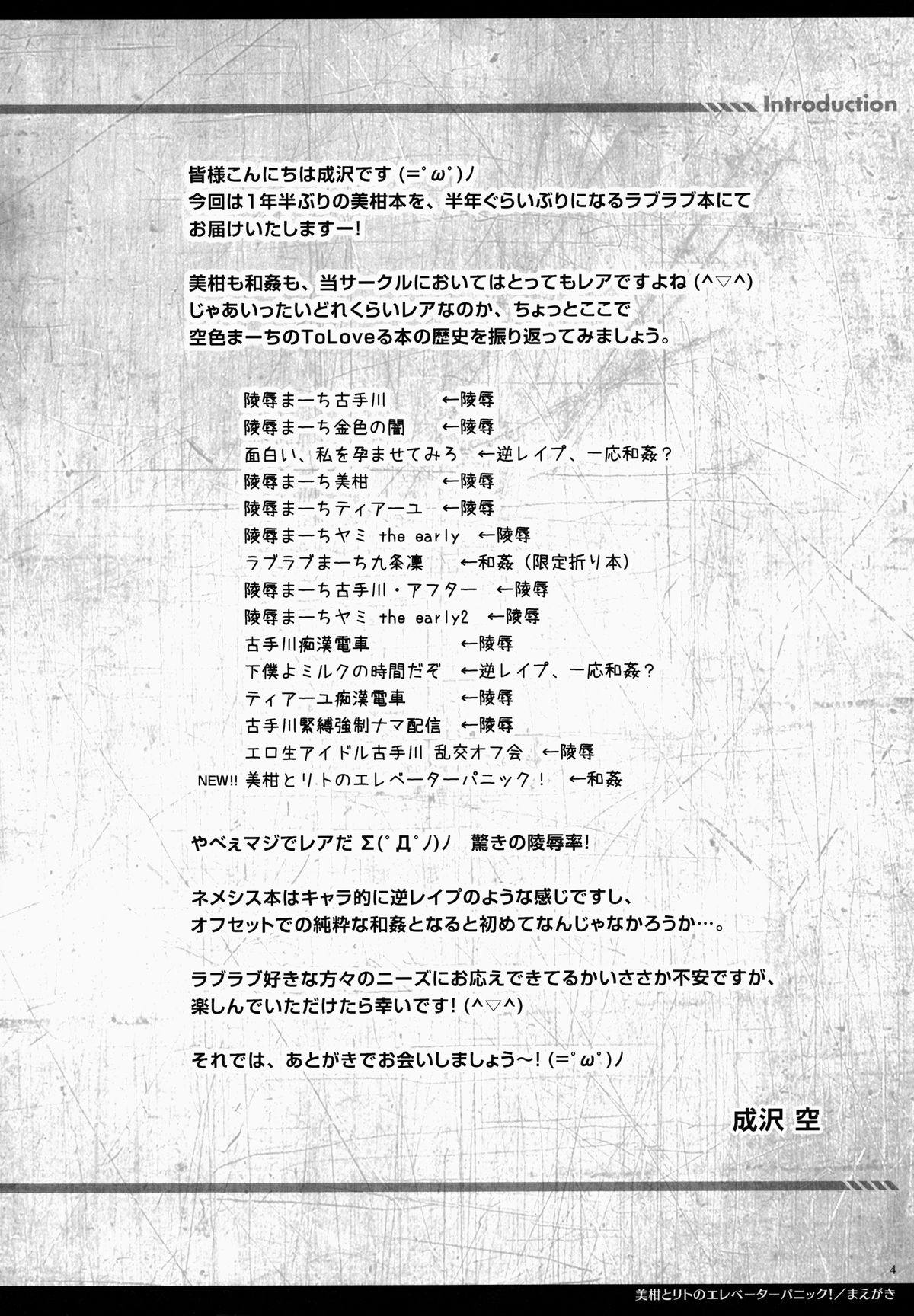 美柑とリトのエレベーターパニック！ 3ページ
