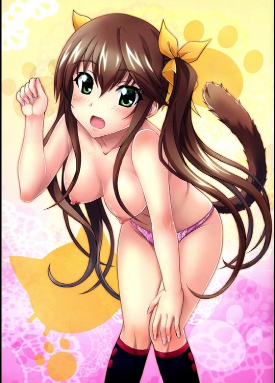 IP2 11ページ
