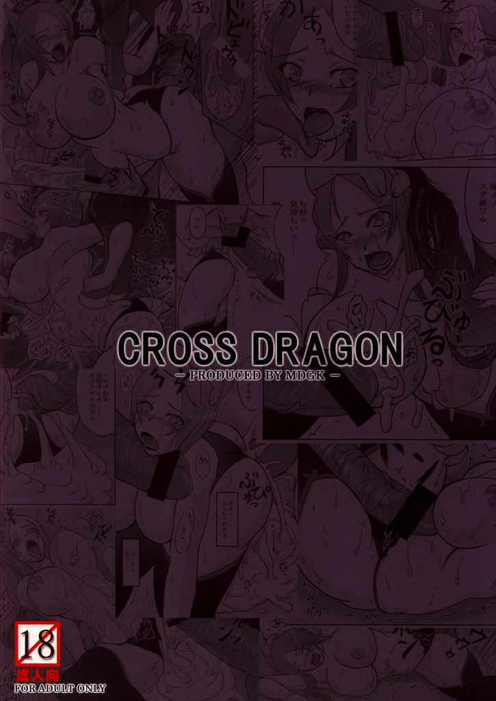 CROSS DRAGON 31ページ