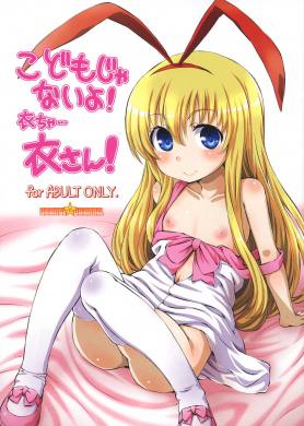 こどもじゃないよ！衣ちゃ…衣さん！