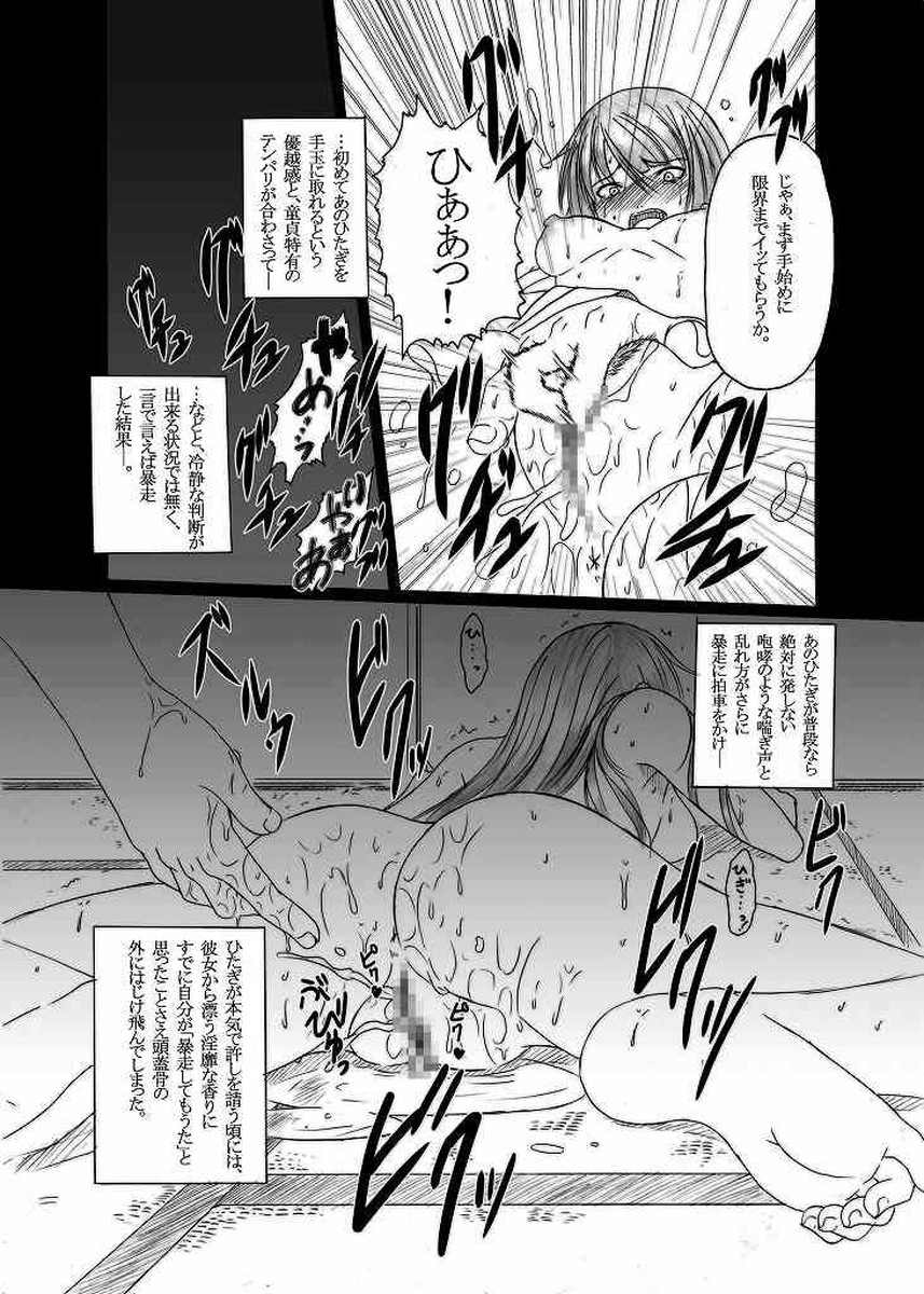 HOBBYS BLOCK!!11 第壹次ガハラ攻略戰 14ページ