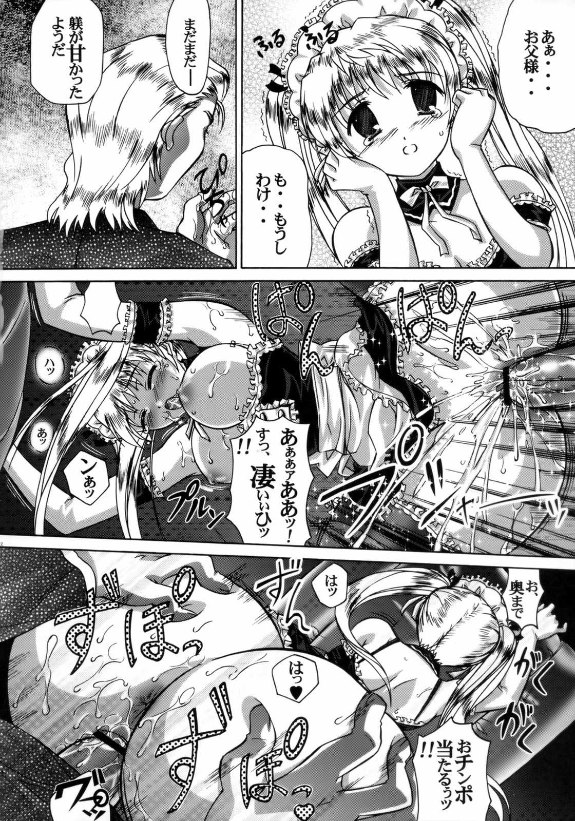 いらっしゃいませご主人様〜沢近愛理〜 11ページ