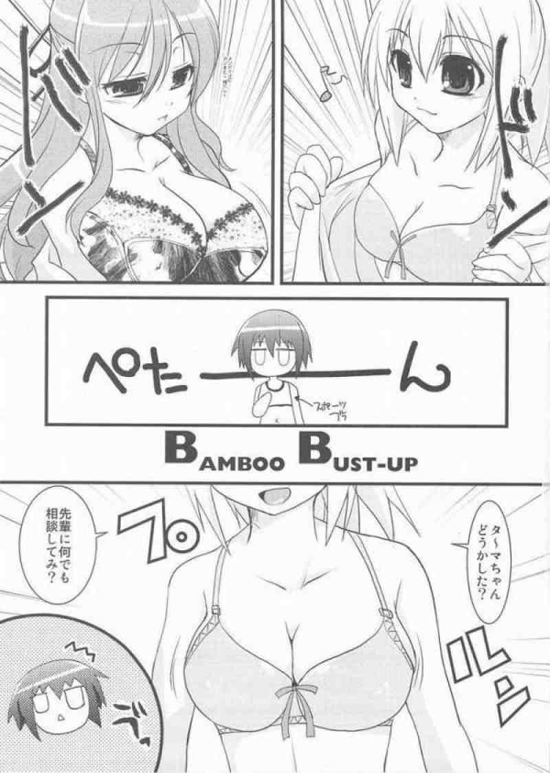 猫盛II 38ページ