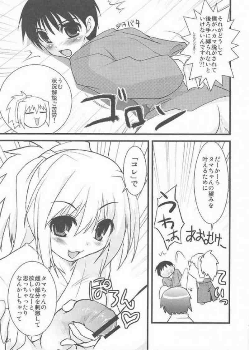 猫盛II 40ページ