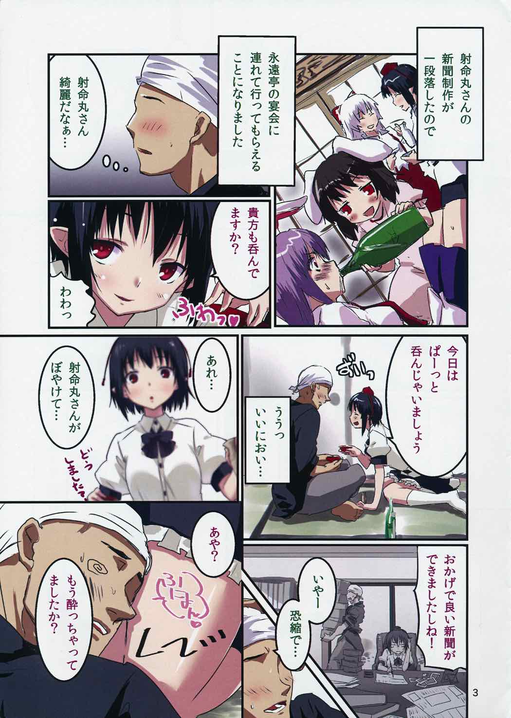 お願い!射命丸さん 2ページ