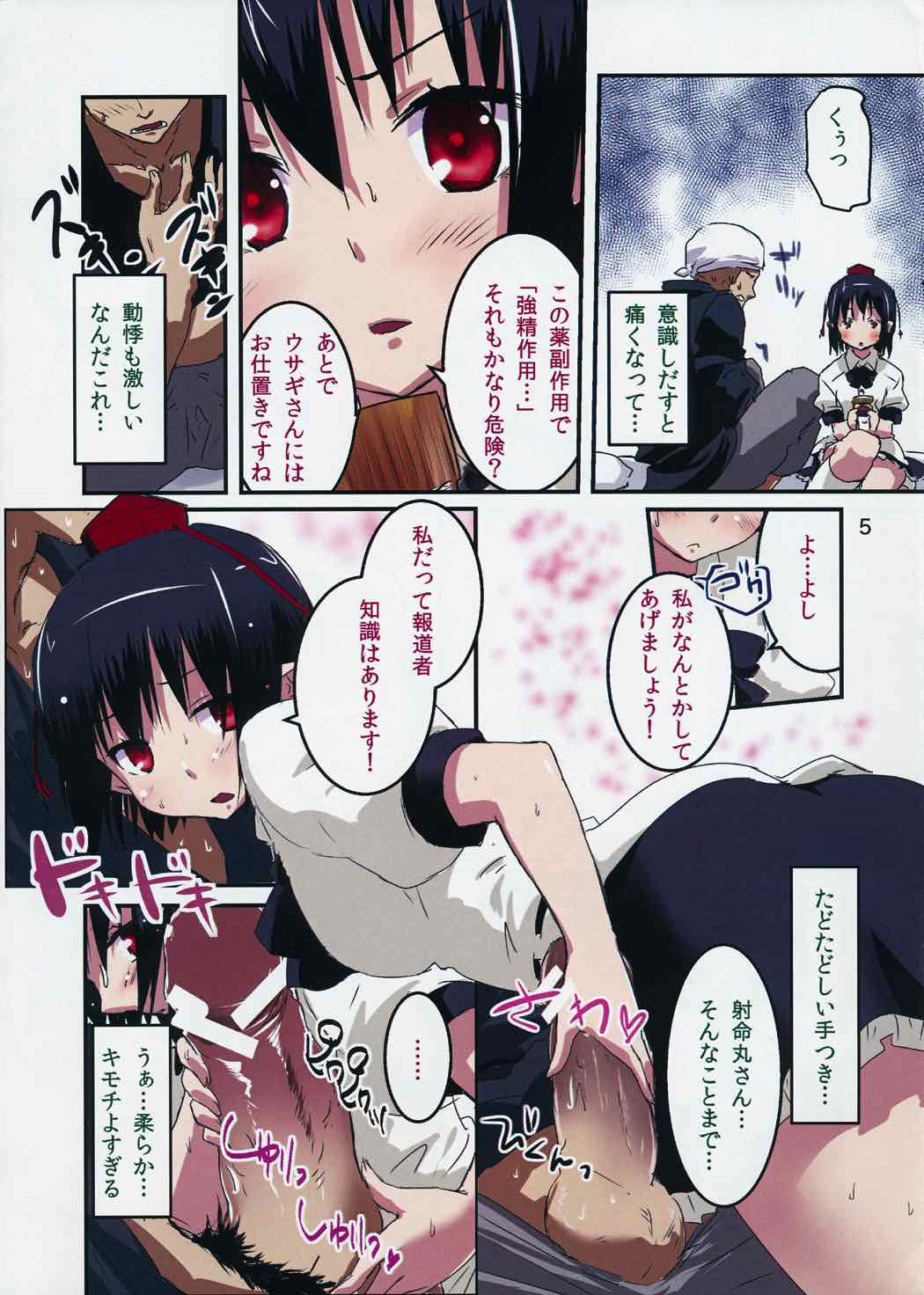 お願い!射命丸さん 4ページ