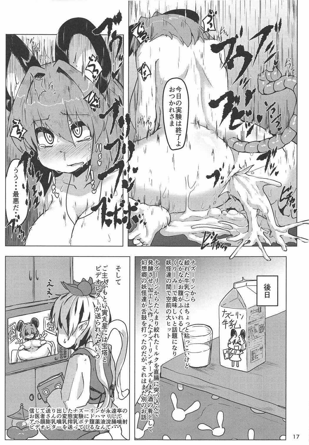 実験用ナズーリン 16ページ