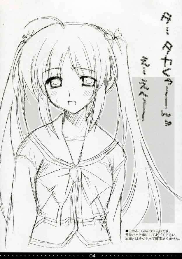 SHINKON：SAN 3ページ