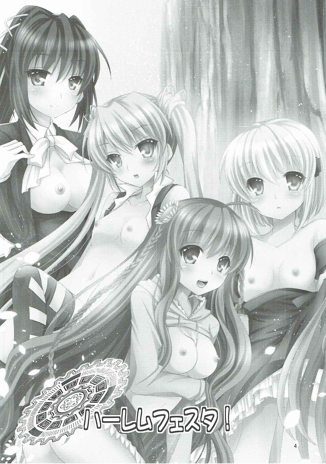 ハーレムフェスタ！ 3ページ
