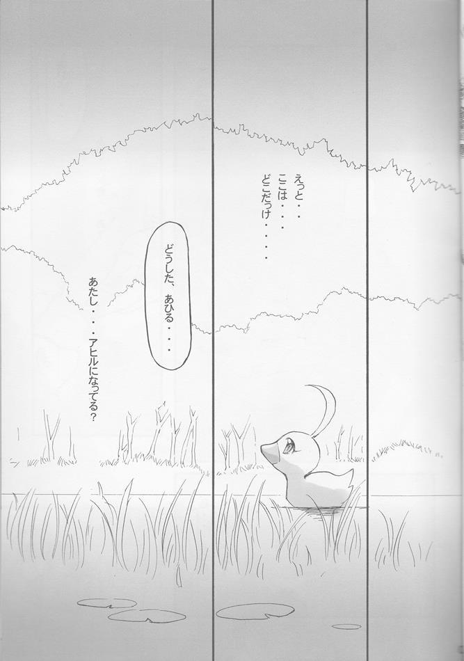 チュチュの祈り 4ページ