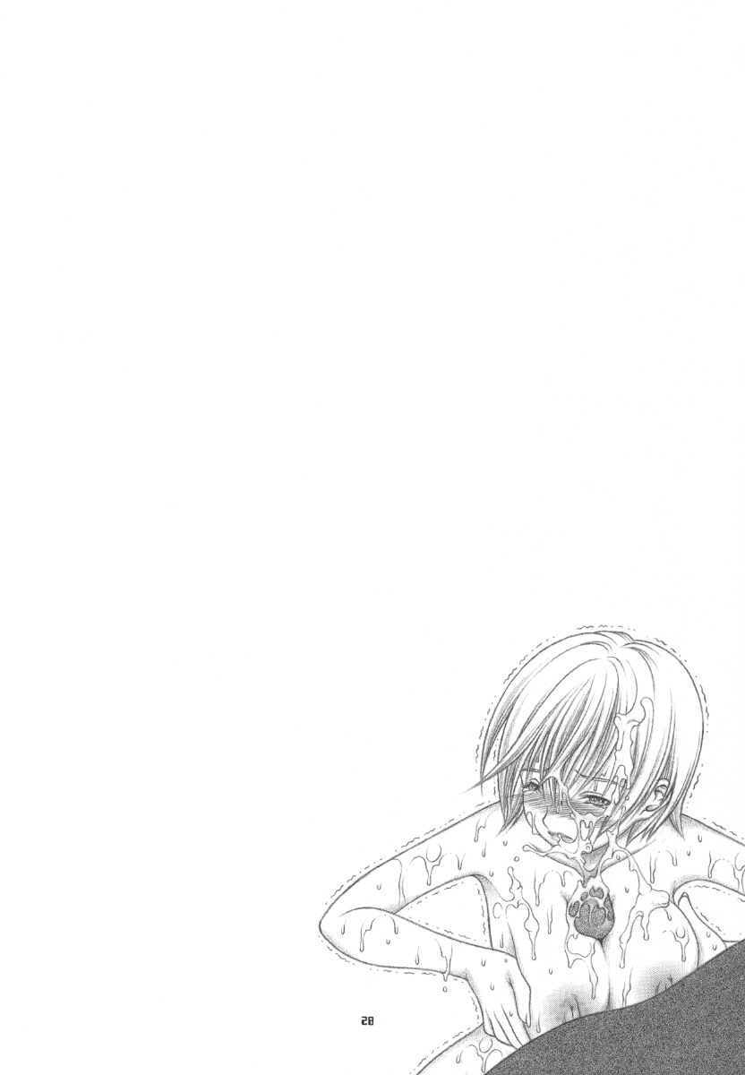 ドキッ!! とした 27ページ