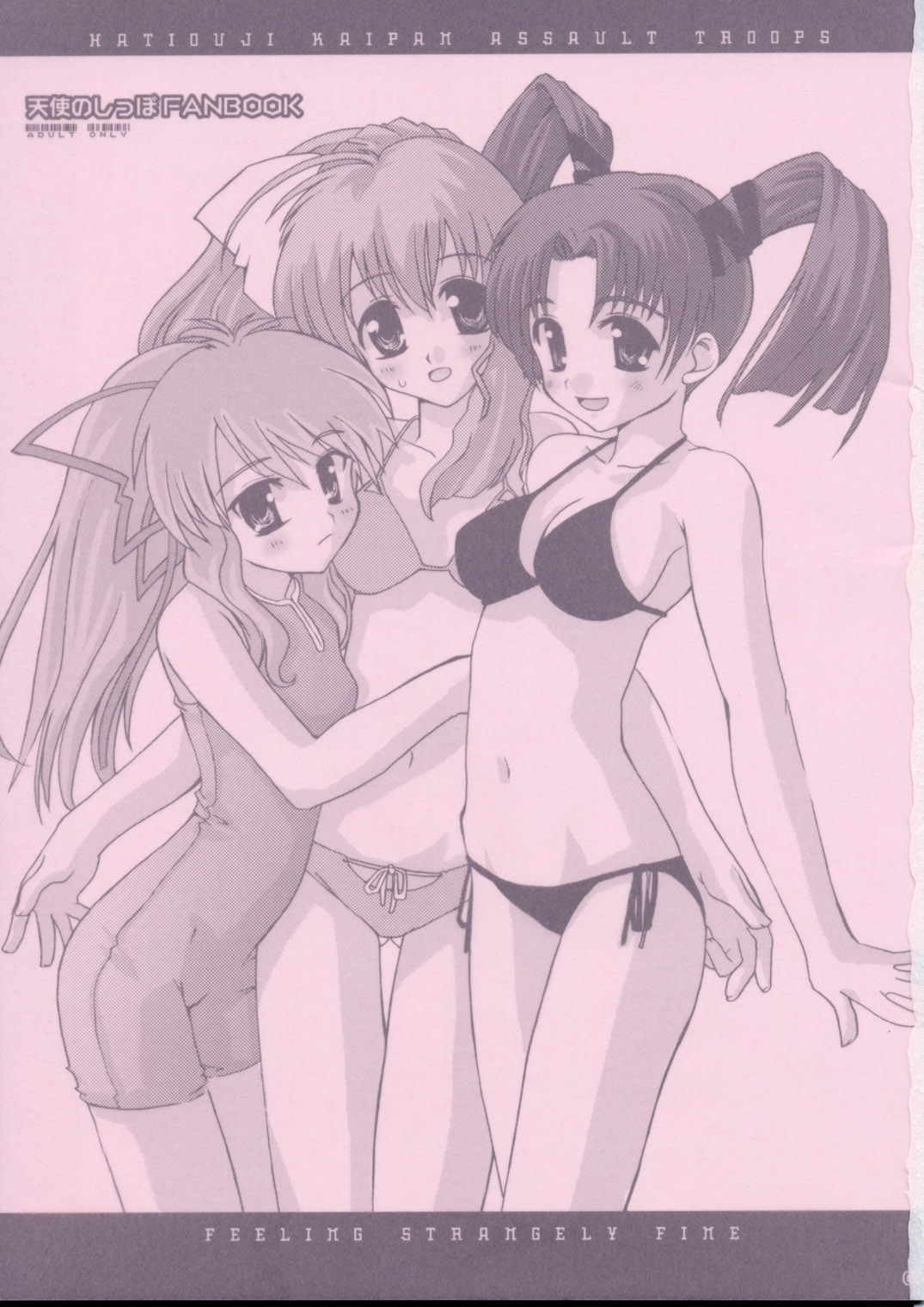 Feeling Strangely Fine 天使のしっぽFANBOOK 2ページ