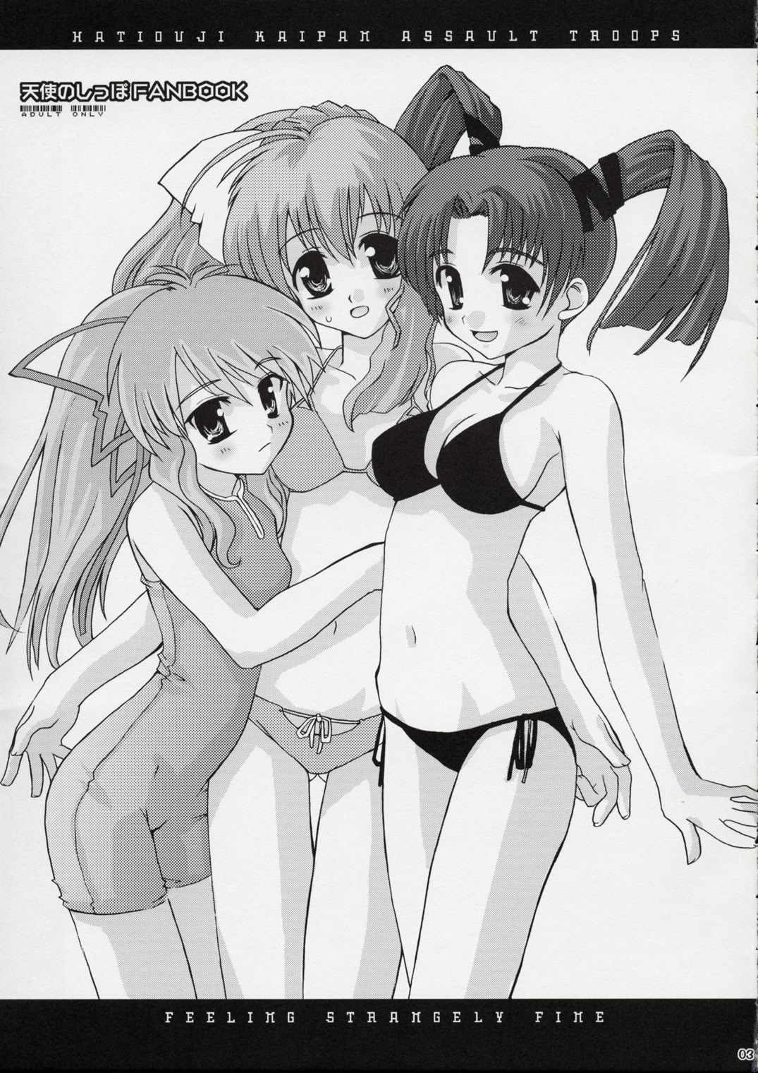 Feeling Strangely Fine 天使のしっぽFANBOOK 3ページ