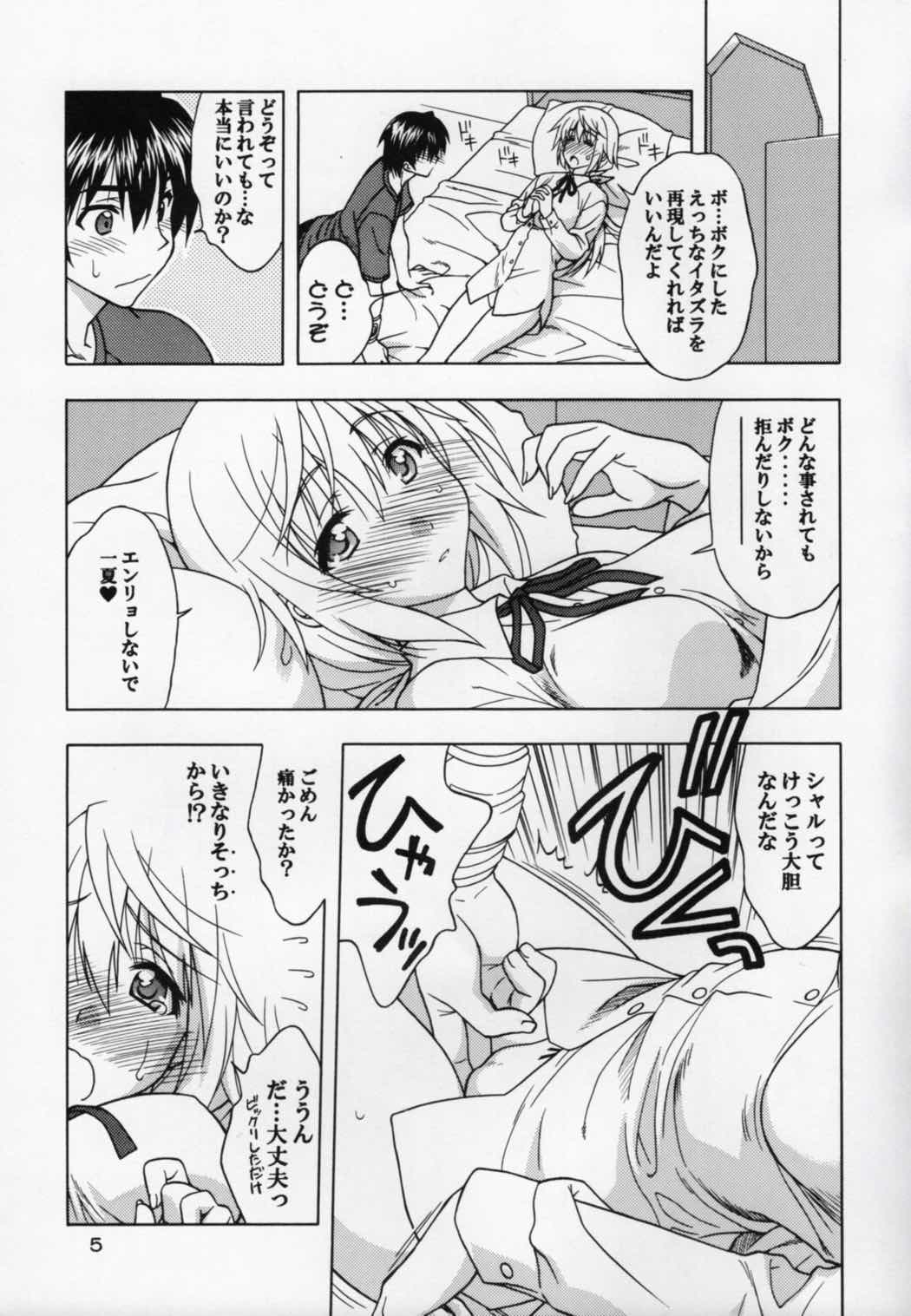 I.S.C 4ページ