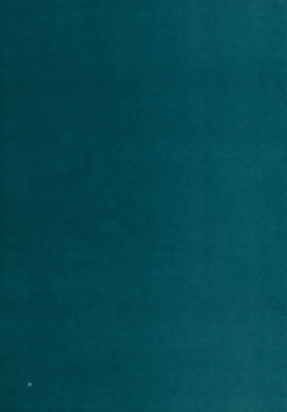 Little by Little 31ページ