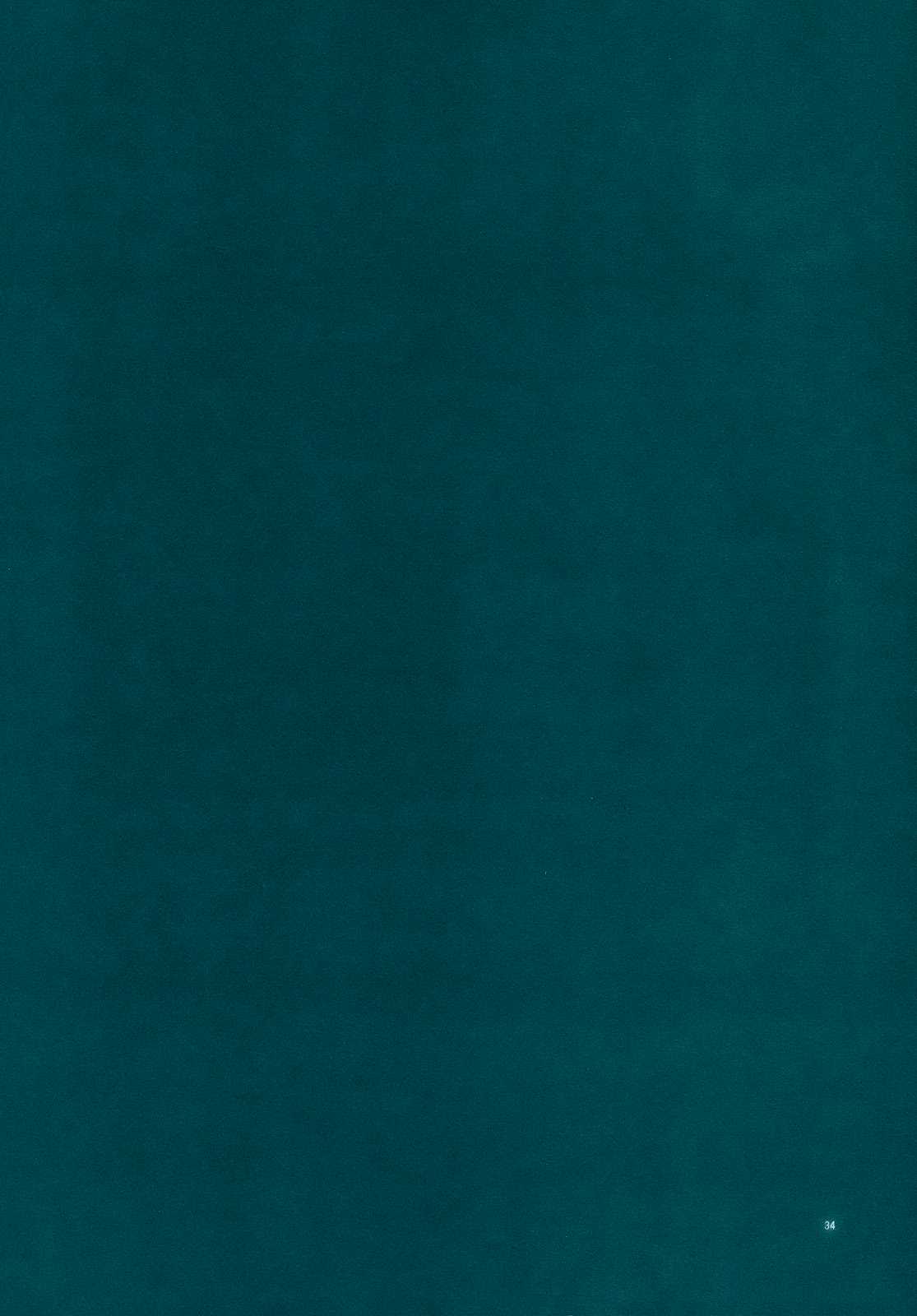 Little by Little 34ページ