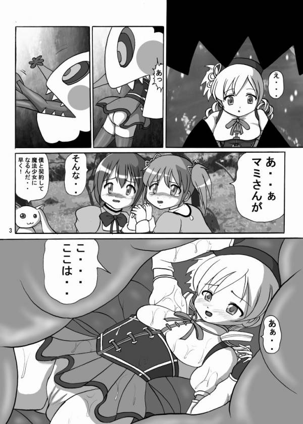 お前も魔法少女にしてやろうかぁ! 2ページ